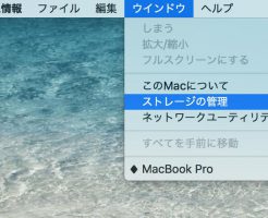 Mac OS High Sierra ストレージの管理